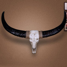 Load image into Gallery viewer, Vintage Cow Head Skull - Wall Mount Ornament - ManKave Gifts & Accessories