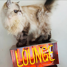 Load image into Gallery viewer, Vintage Metal Neon Box Lamp LOUNGE Neon Sign - Man-Kave
